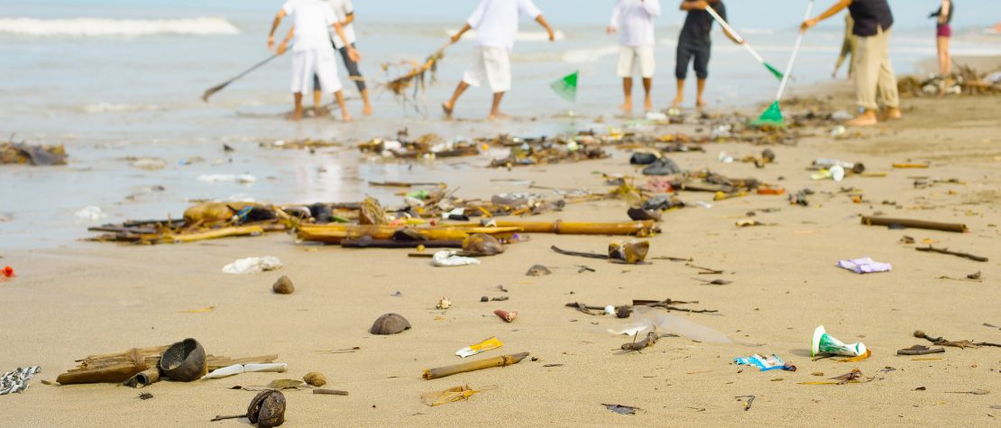 host a beach cleanup trash on sand beach cleanup crew