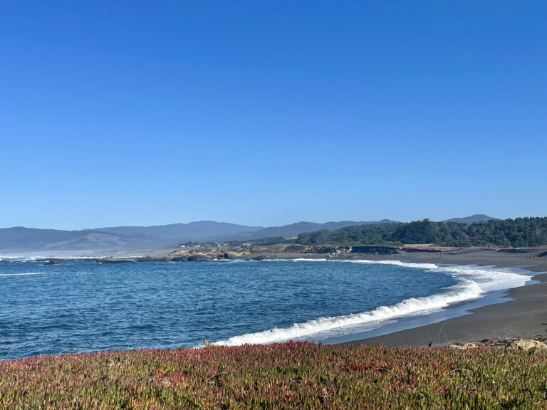Beach in Fort Bragg MacKerricher State Park