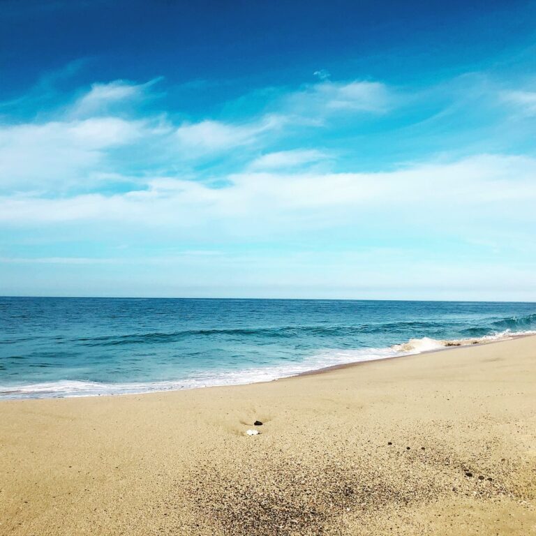 La Pastora Todos Santos Beach