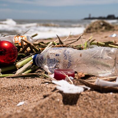 A Record-Breaking 2024: The Ocean Cleanup Removes 24 Million Pounds of Trash