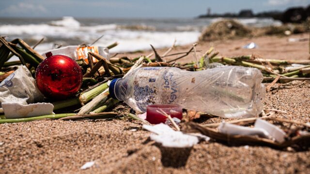 A Record-Breaking 2024: The Ocean Cleanup Removes 24 Million Pounds of Trash