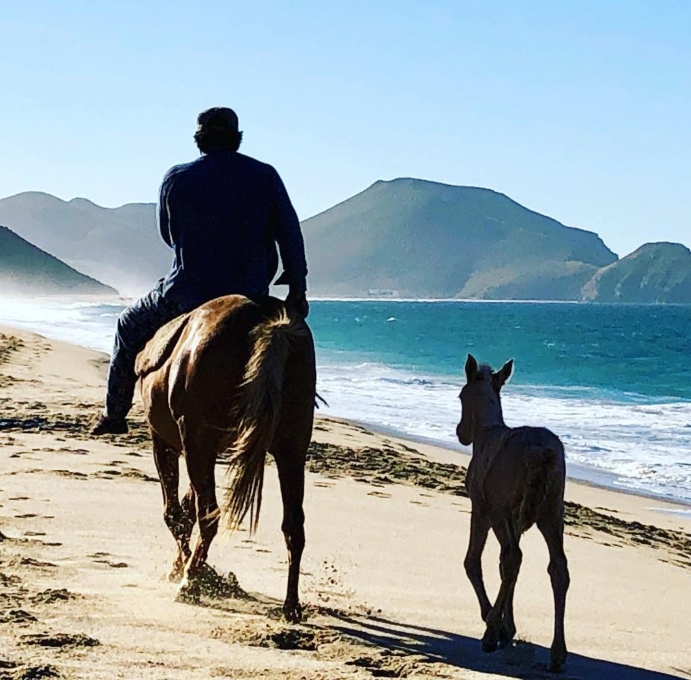A man horseback riding on Todos Santos beach