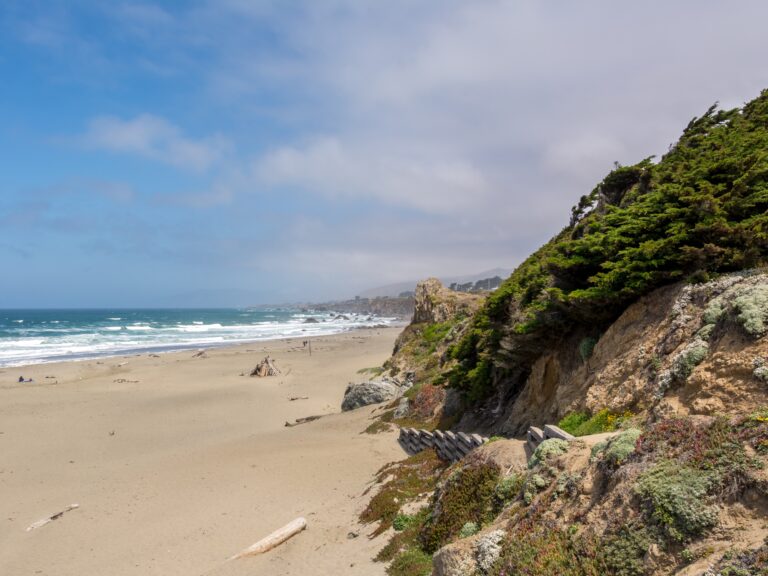 Sandy beach of the Bodega Bay an hour north of San Francisco