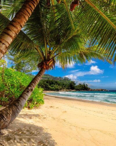 Jamaica