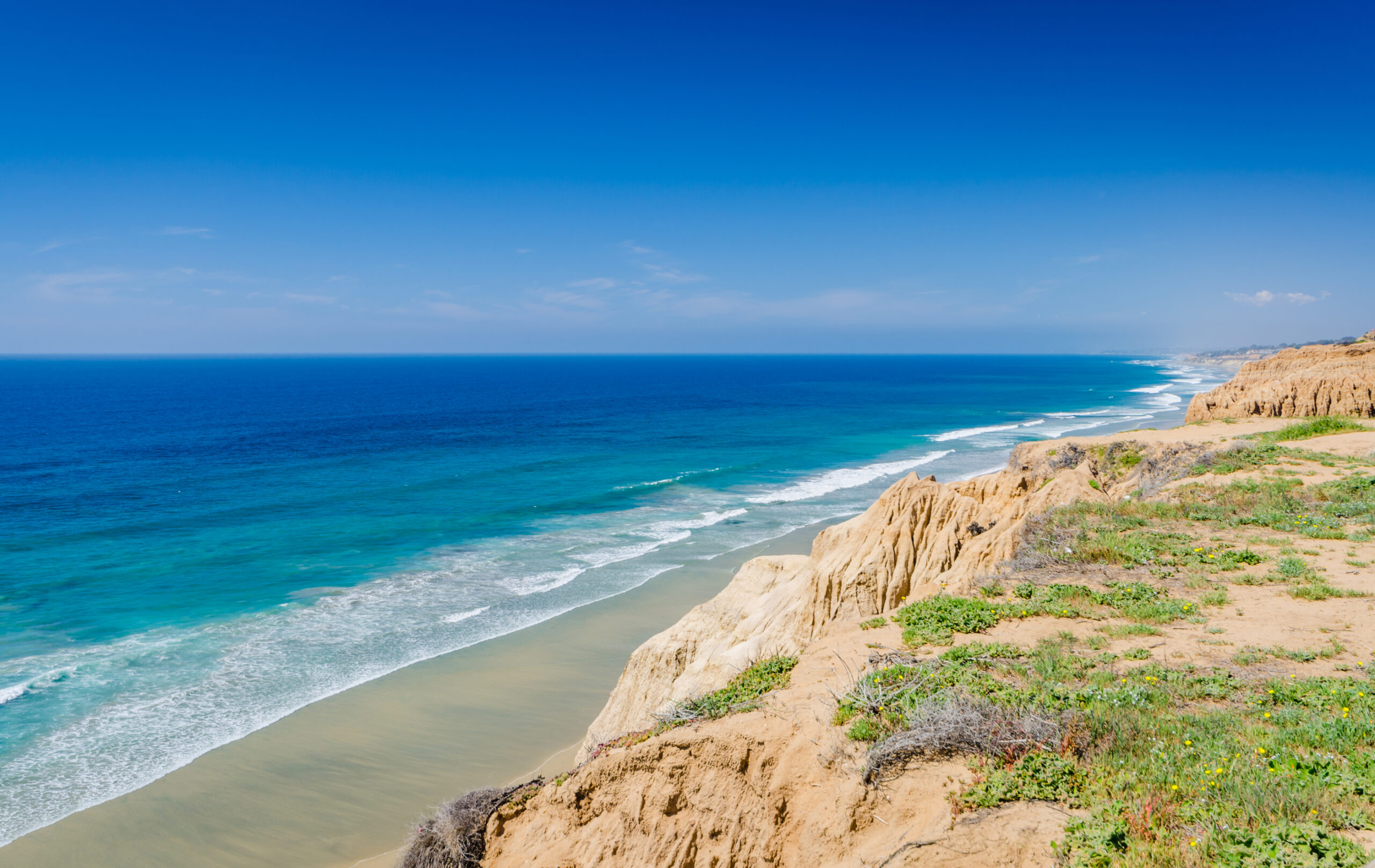 The Official Guide to San Diego's Best Beaches