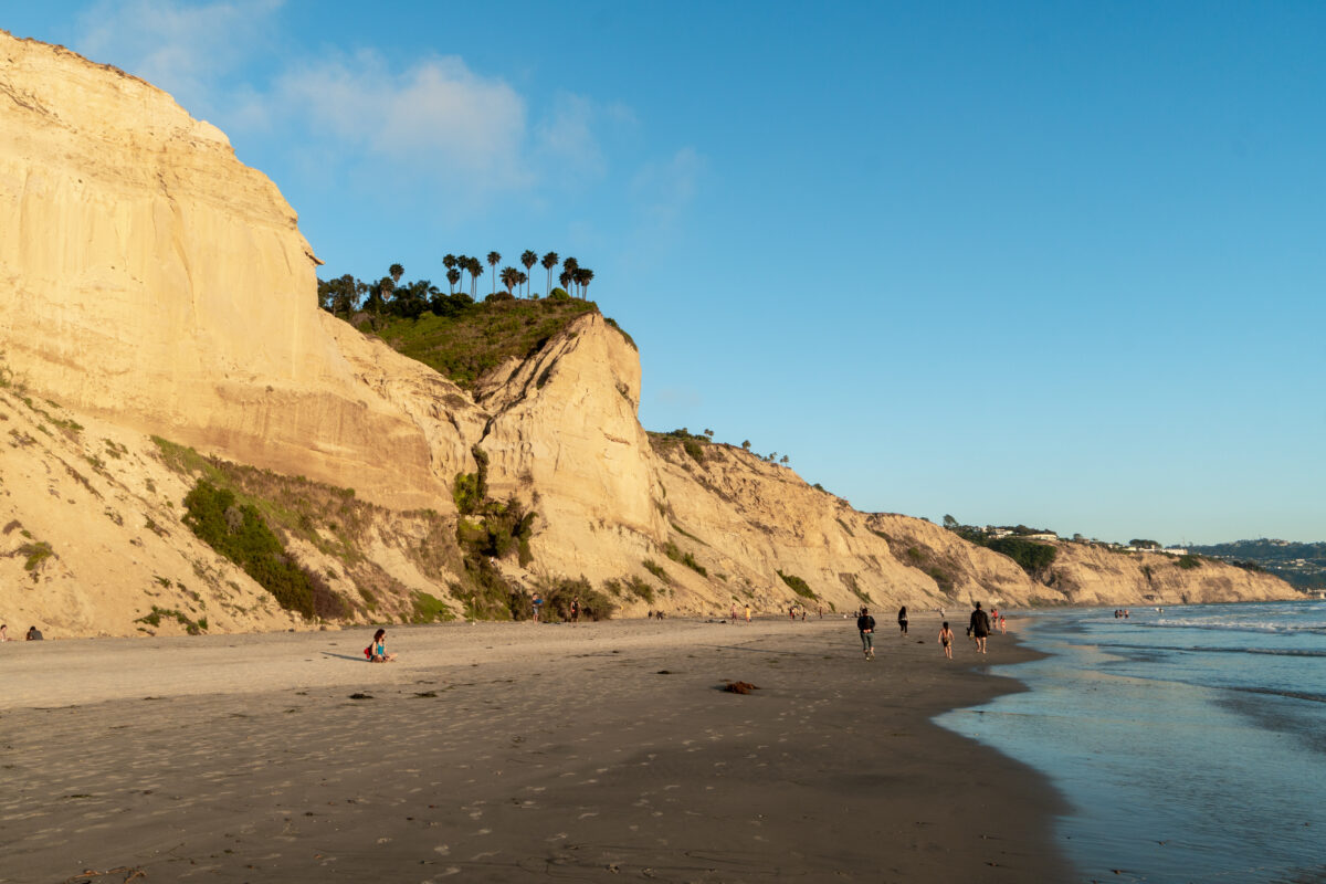 Pacific coastline with yellow sandstone cliffs before sunset time. Black's Beach, San Diego