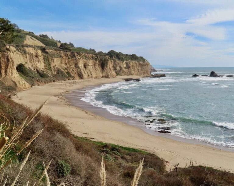 Greyhound Beach