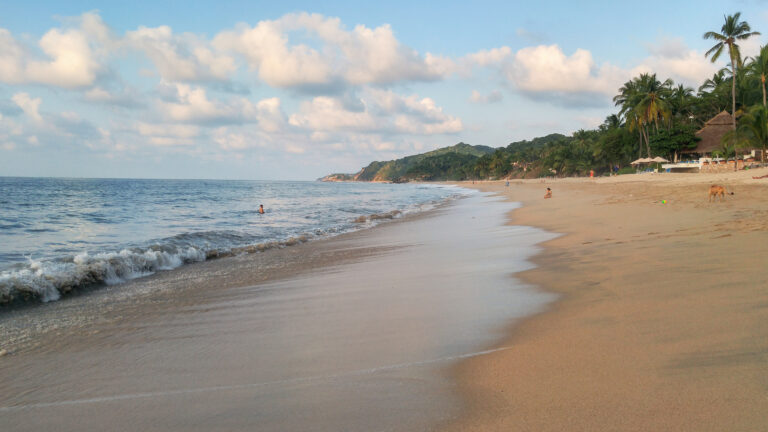 Golden sunset with palm trees in Sayulita beach, in Sayulita, Nayarit