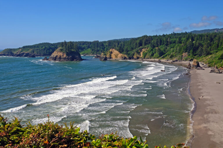 Looking Down on a Northern California Beach. Aerial View of Trinidad State Beach in California