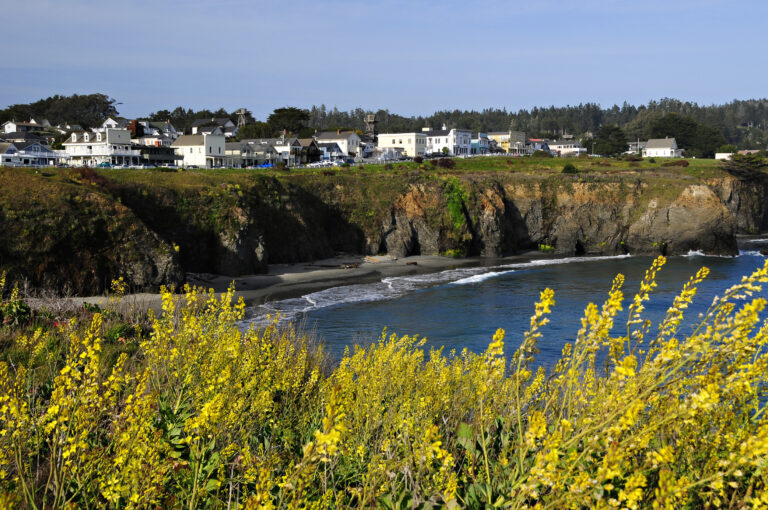 Town of Mendocino California with yellow flowers in foreground