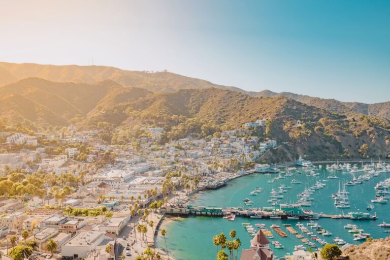 Scenic view of Avalon Bay, Catalina Island, with boats in the harbor and hills in the background under a clear blue sky.