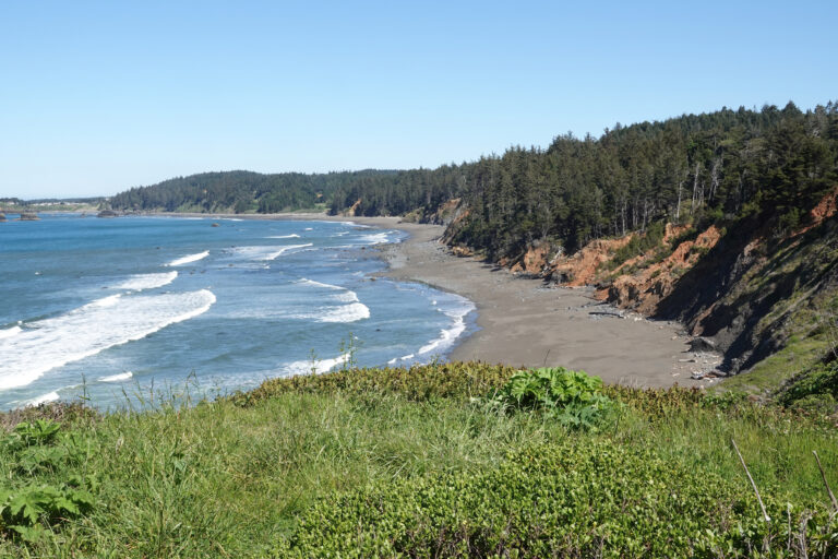 Scenic Coastal Beach with Lush Green Hills at Crescent city, California