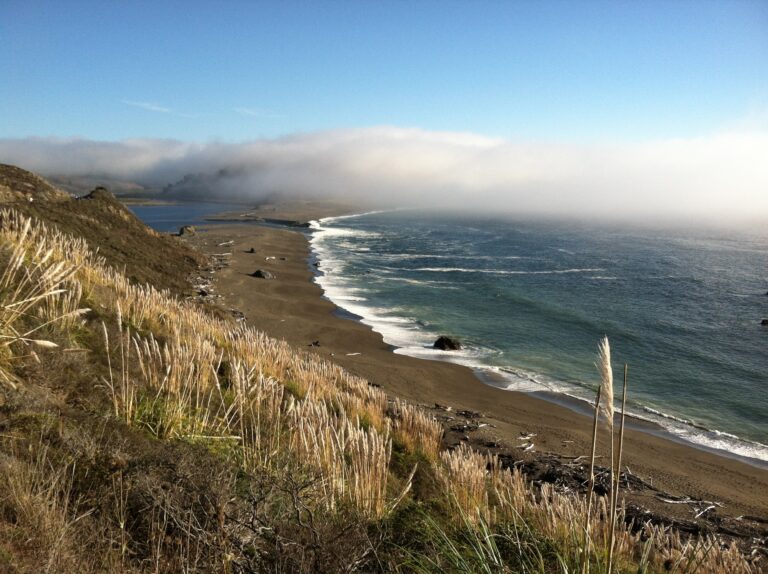 Jenner Beach in California