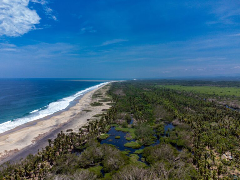 Idyllic tropical paradise featuring waterways and lush palm trees, Mazunte, Oaxaca, Mexico