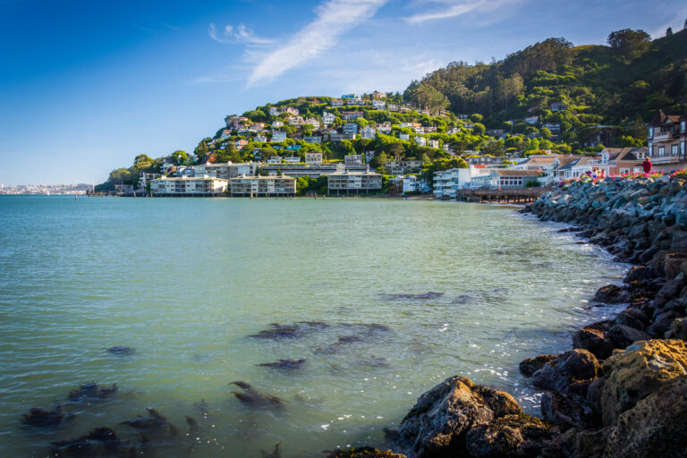 The San Francisco Bay and hill in Sausalito, California