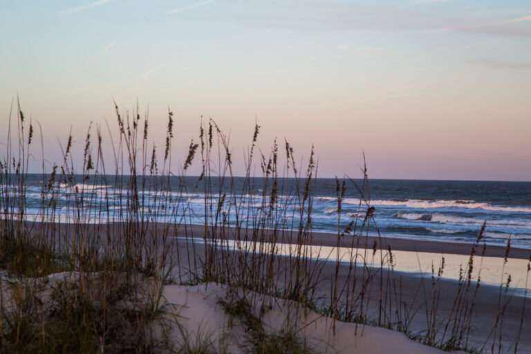 Sea Oats at Fernandina Beach. Amelia Island pier in Fernandina Beach, Florida.