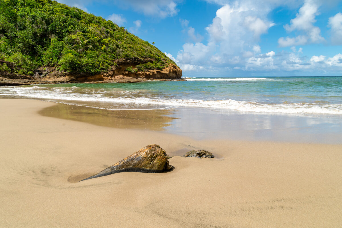 empty coastline at Batibou Beach, Dominica