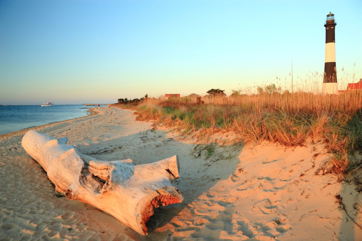 A large weathered driftwood log on the beach on Long Island Sound with the Fire Island Lighthouse behind in the late afternoon sun.