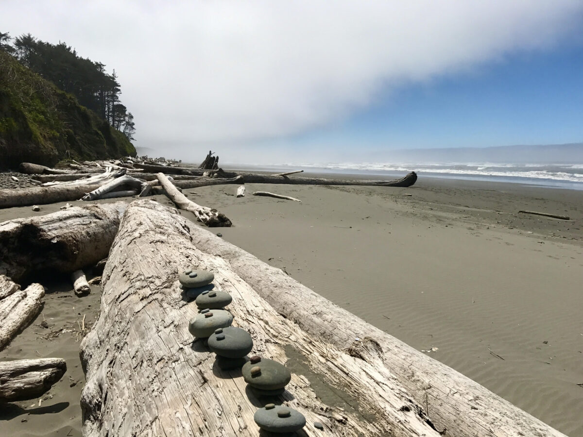 Kalaloch Beach Washington