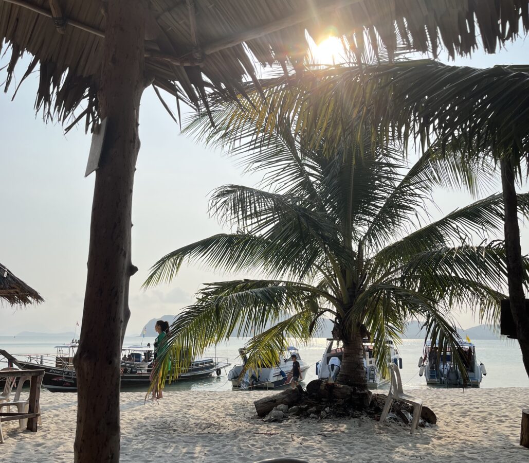 sun peeking through the palm trees in Koh Mat Sum (Pig Island)