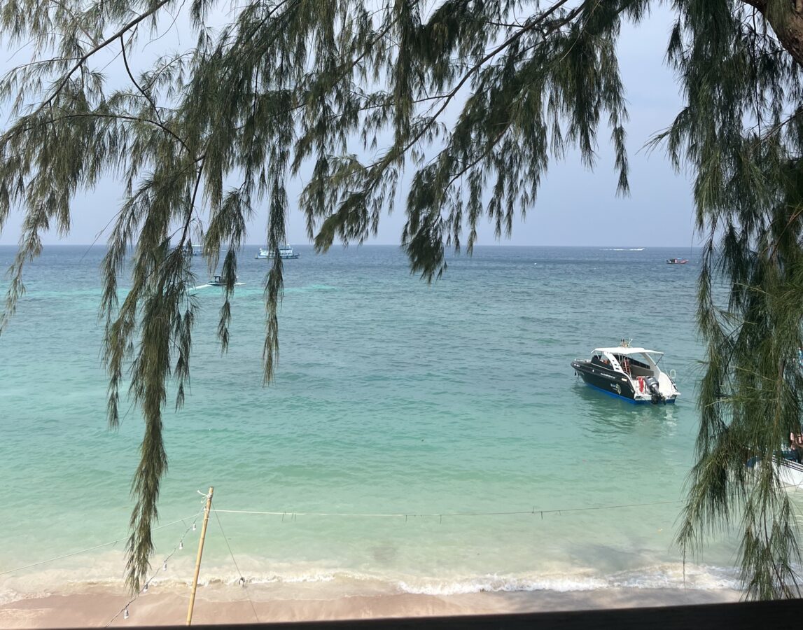boat floating in turquoise water framed by palm trees