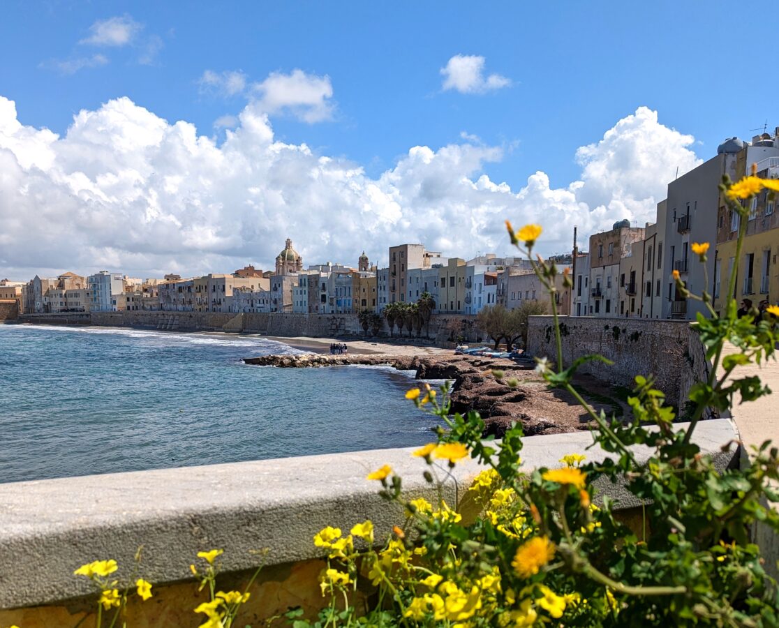 Trapani Beach with flower forefront