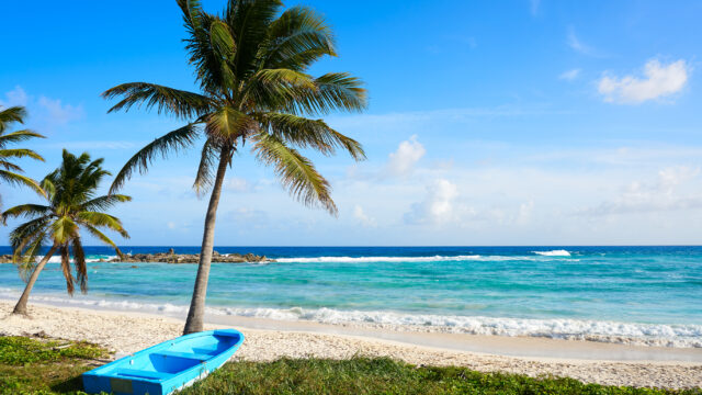 The Best Things to Do in Cozumel on a Cruise Stop