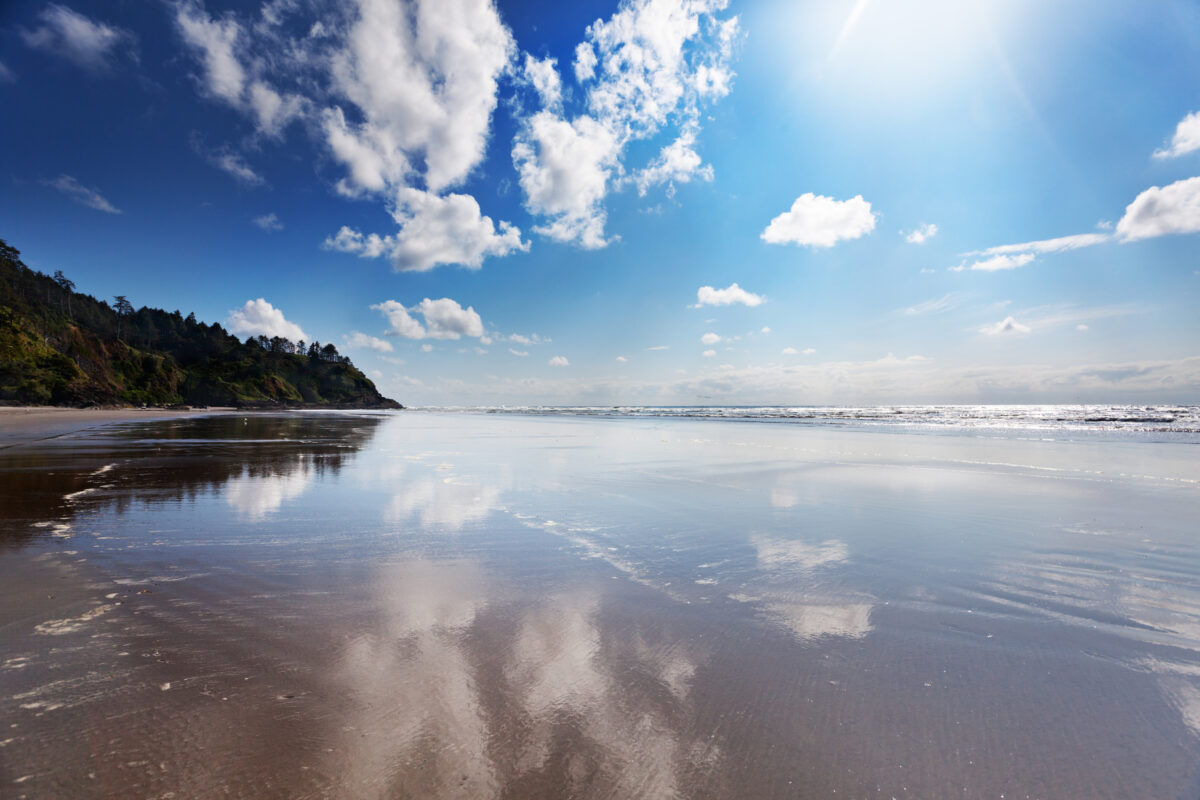 Aftermoon sun on Long Beach. Long Beach, Washgington at North Head, Cape Disappointment on a sunny Spring afternoon.