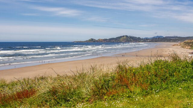 16 Pacific Coast Highway Beaches to Add to Your Road Trip Itinerary