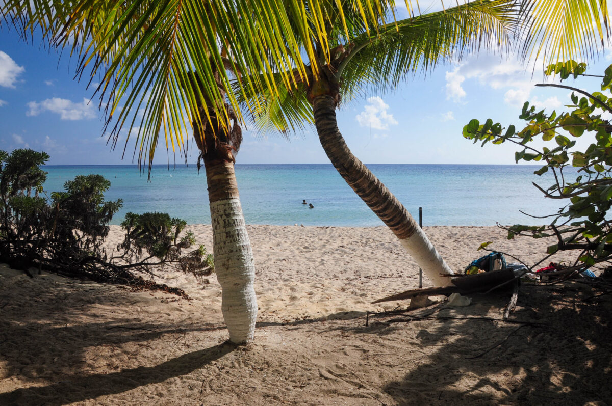 The Official Guide to Cozumel's Best Beaches
