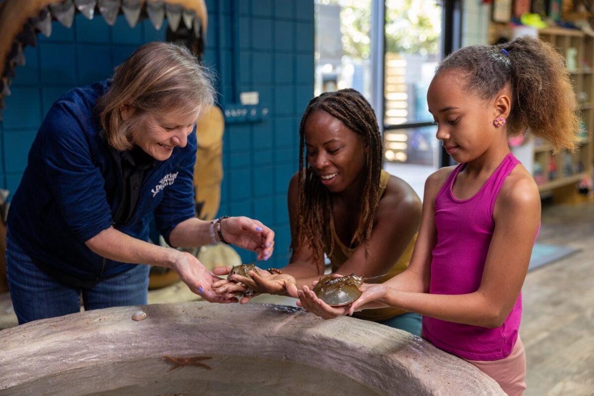 hands-on animal encounter at Marine Discovery Center