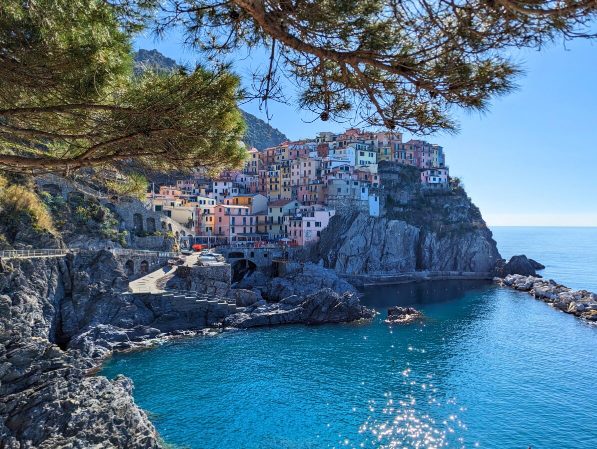 trees frame Manarola Marina, Italy and its colorful buildings
