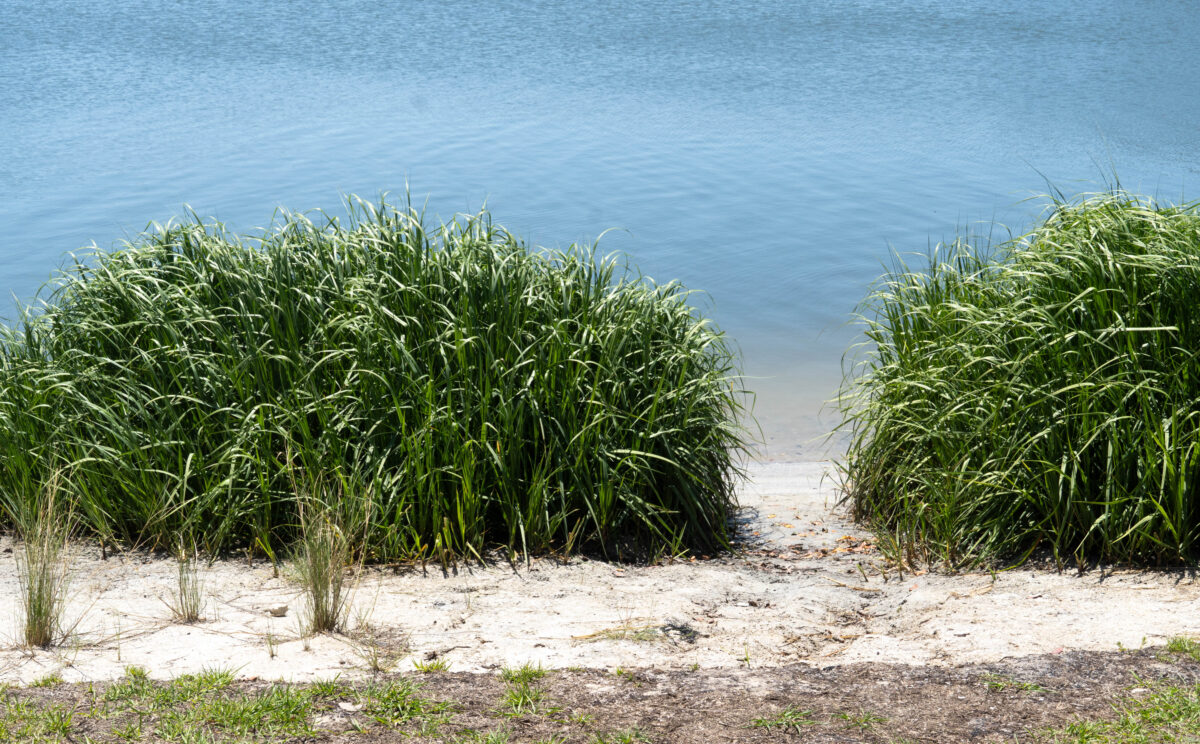 Marine Discovery Center, New Smyrna Beach, Indian River Lagoon