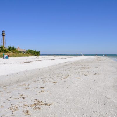 The Best Florida Beach for Shell Collecting – What to Know Before You Go