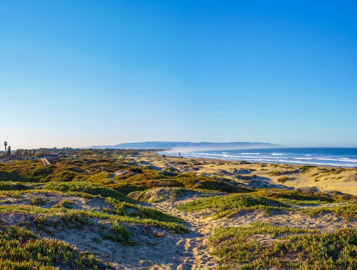 Pismo Beach State Park. Pismo Beach, California. View of sand dunes and Pacific Ocean from North Beach Campground.