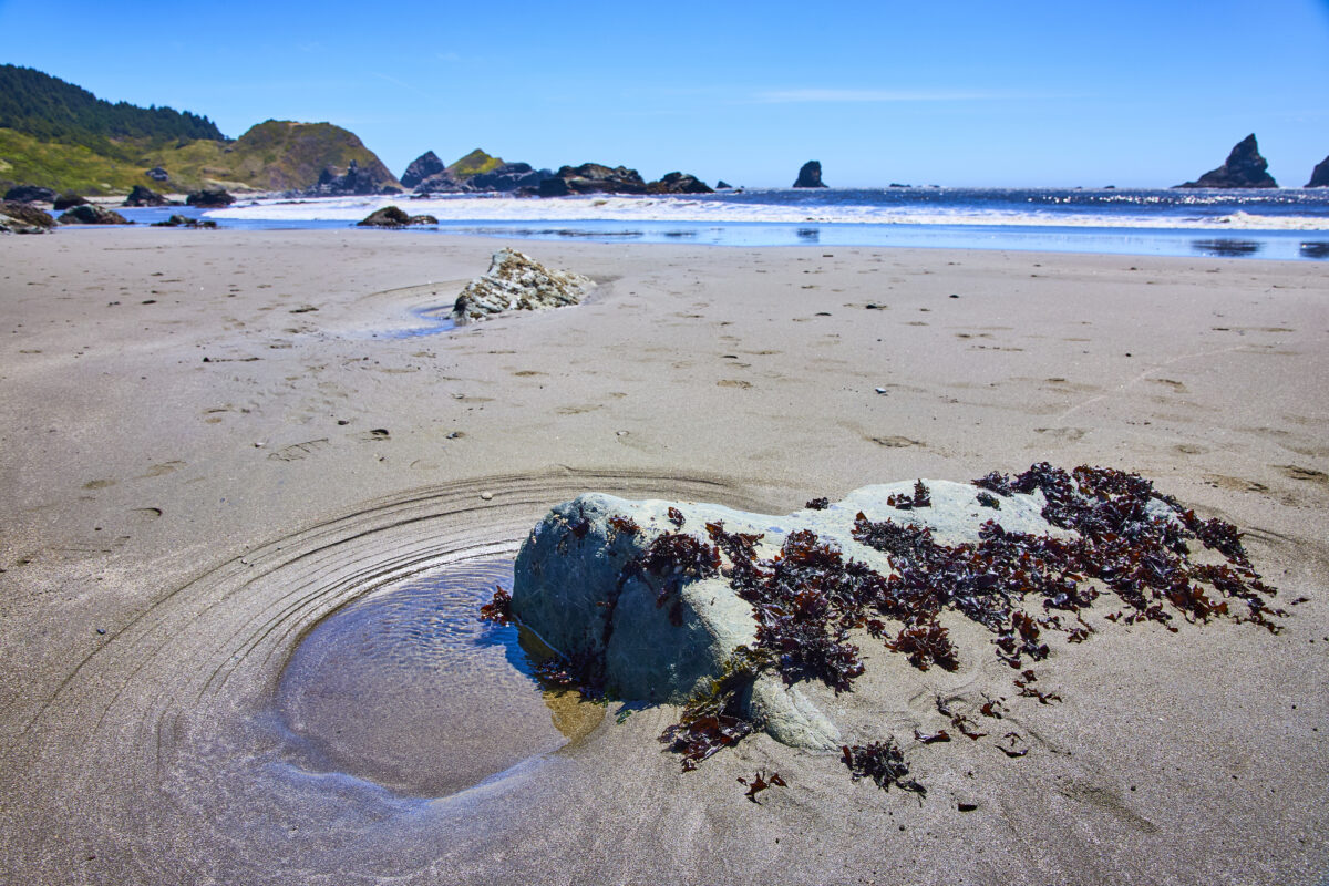 Rocky Tidepools and Seaweed on Lone Ranch Beach Eye-Level View.