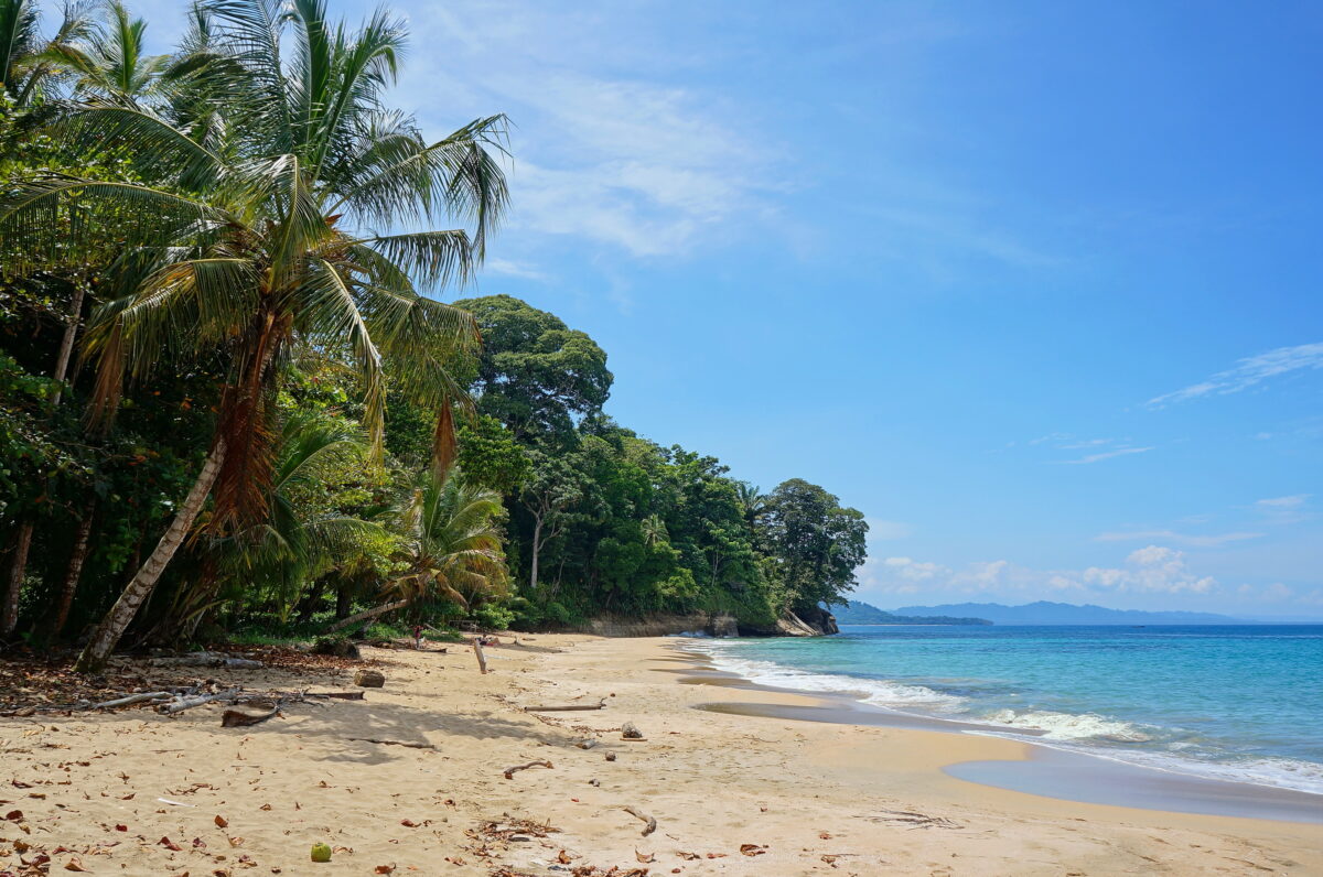 Caribbean beach with lush vegetation Costa Rica.