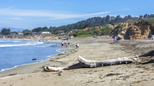 Best Beaches in California for Families, Backed by 12,000+ Reviews