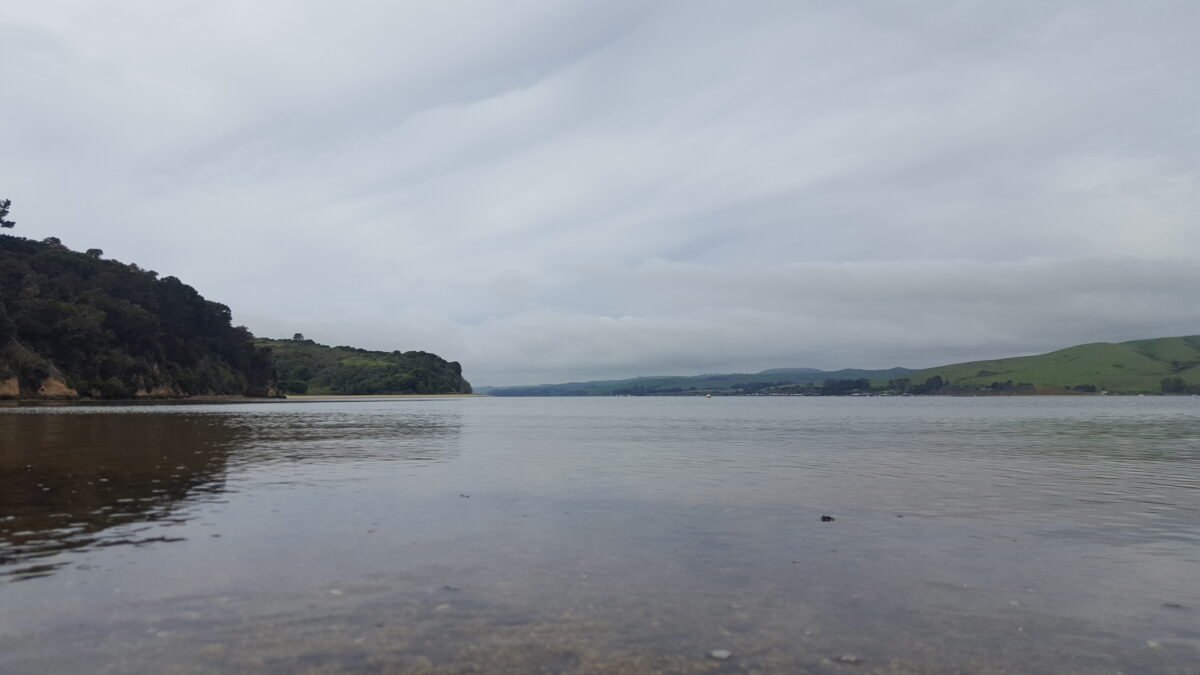 Walking in Tomales Bay at Hearts Desire Beach, Marin County, California.
