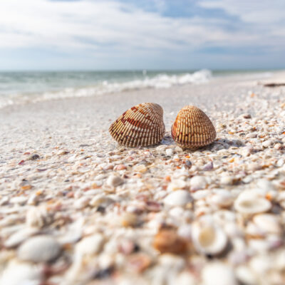 Survey Reveals Dirty Truth About America’s Beach Behavior