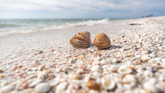 Survey Reveals Dirty Truth About America’s Beach Behavior