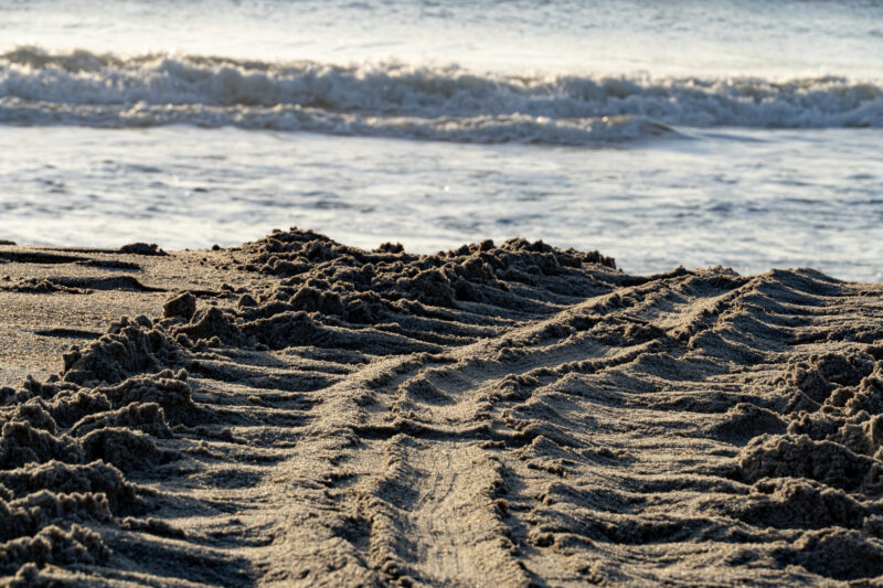 Close up of turtle tracks on beach in Melbourne Beach.