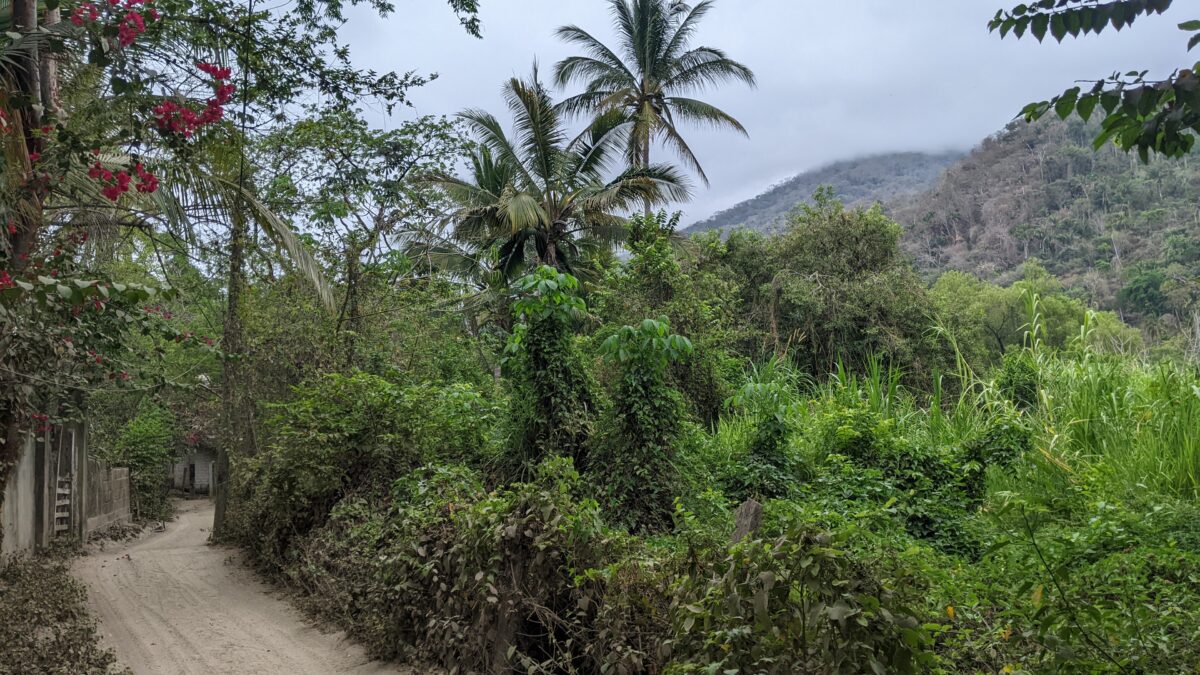 Yelapa Mexico jungle.