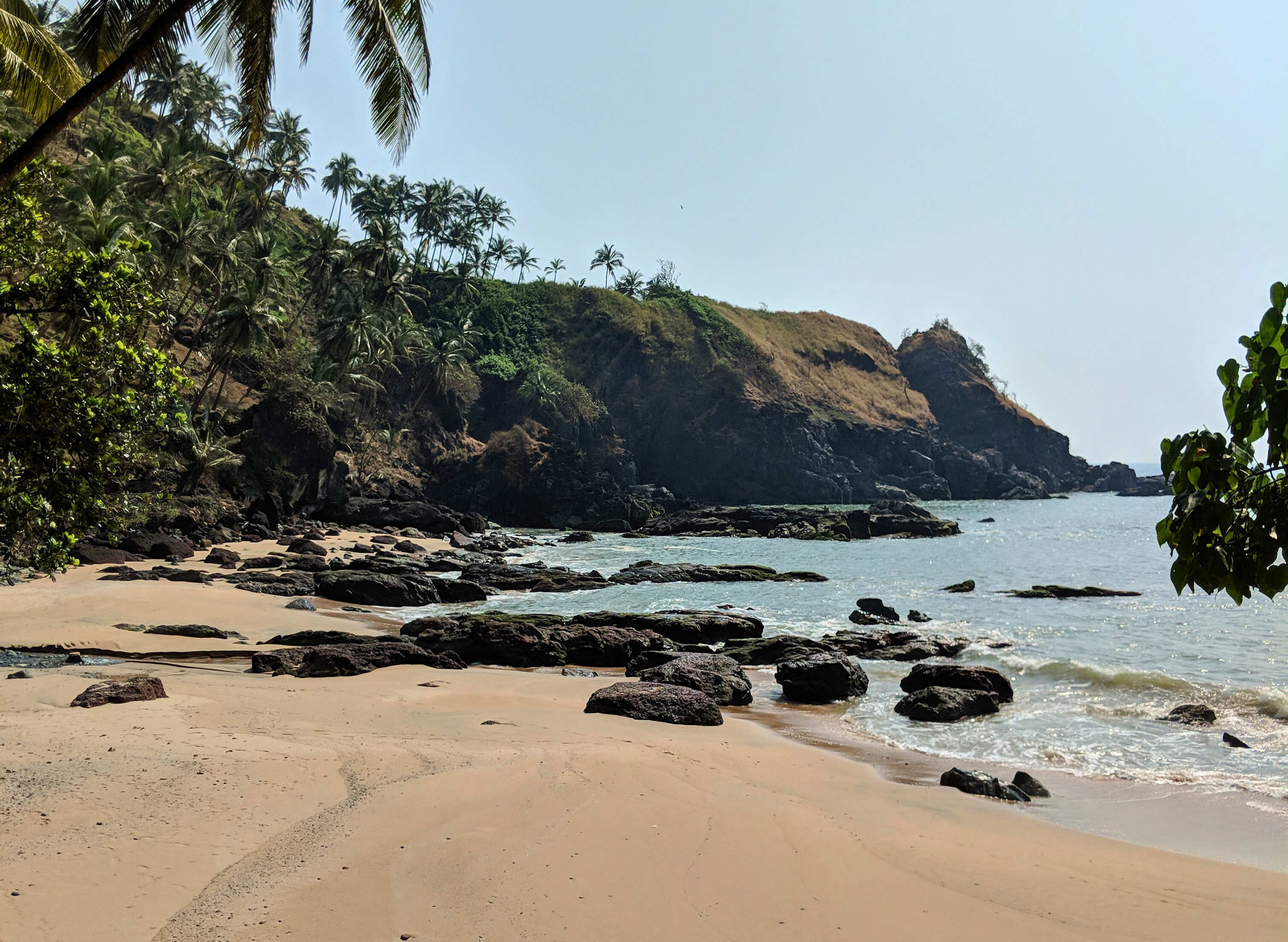 rocky coastline with palm trees in Kakolem Beach, India