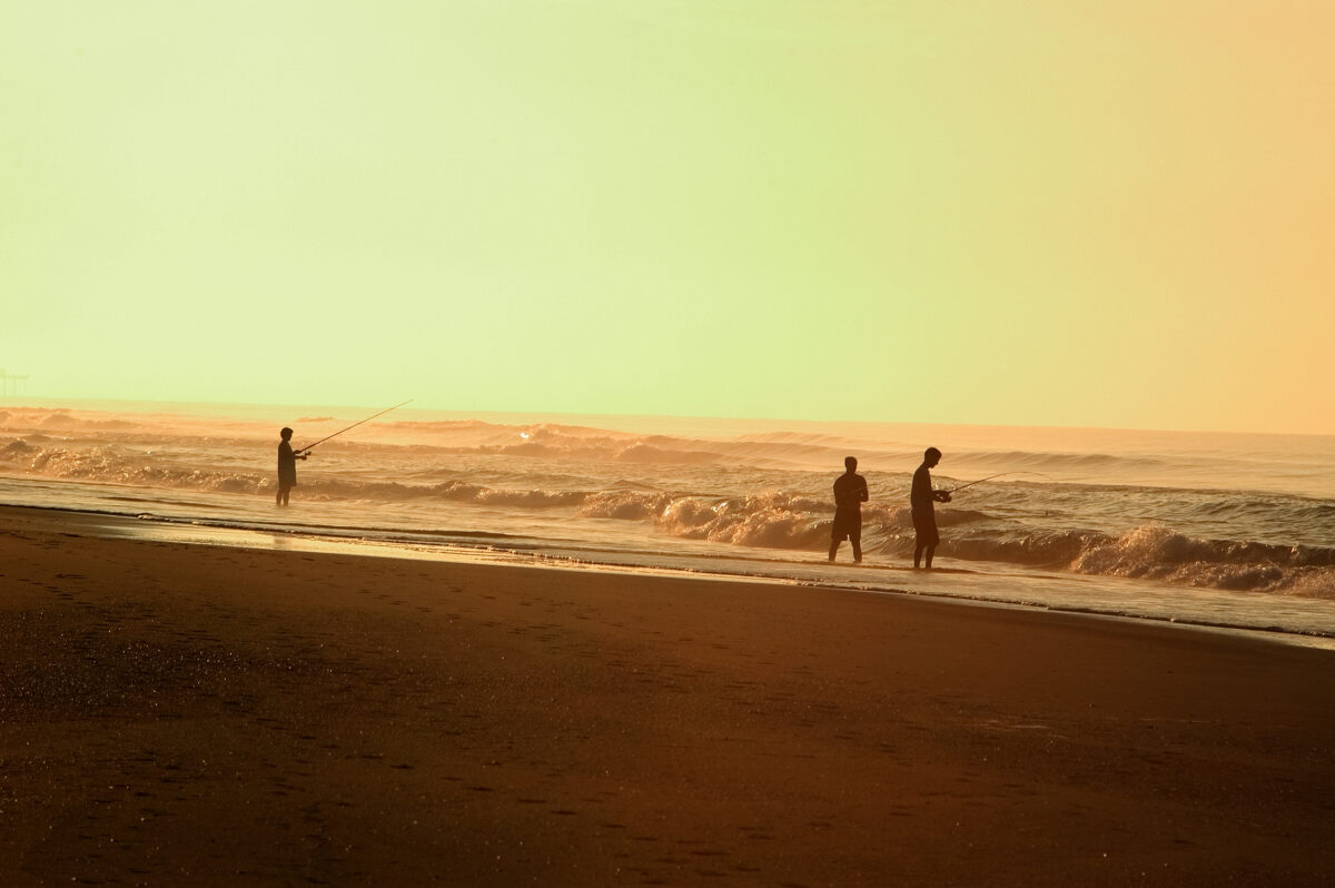 Surf fisherman silhouetted against the ocean at sunrise on Emerald Isle, North Carolina. Sky and ocean have a golden hue from the freshly risen sun.