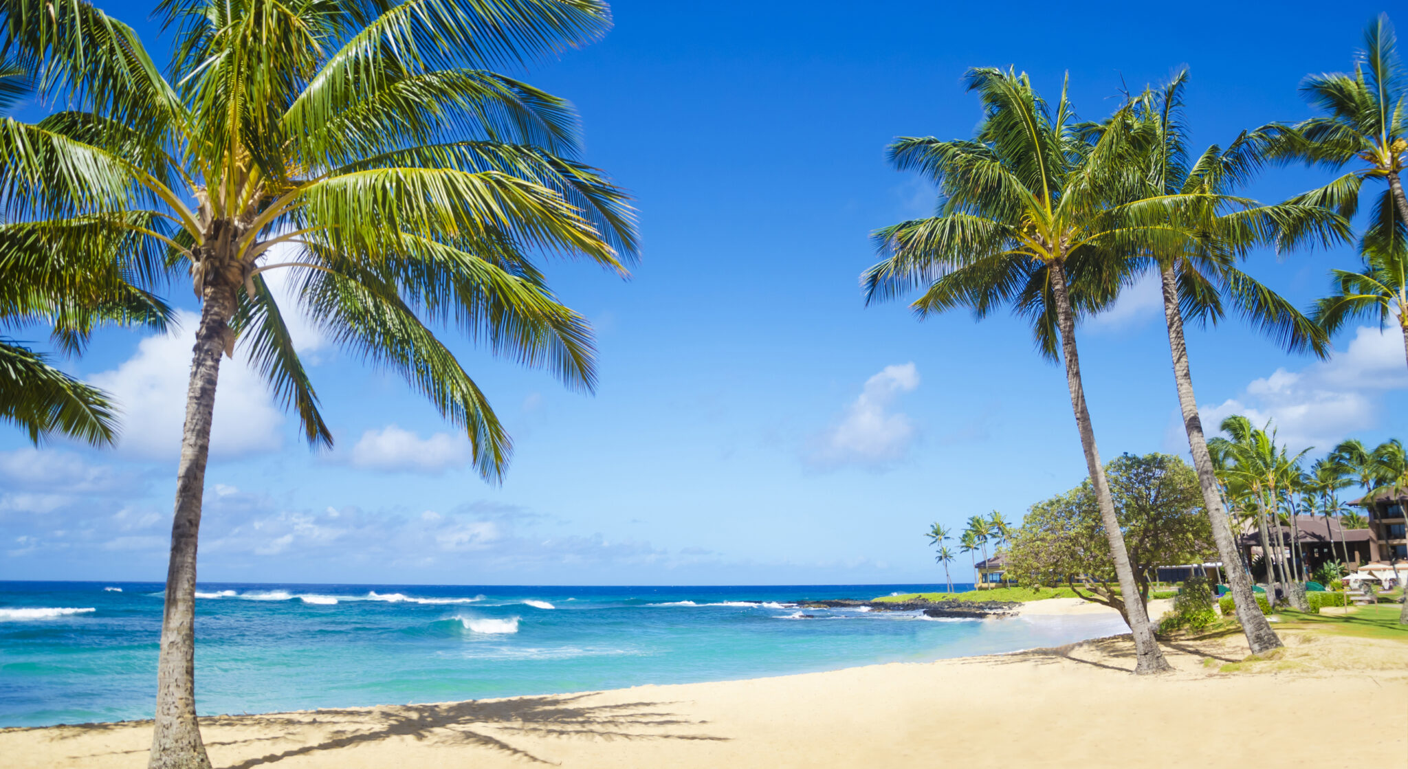 The Top U.S. Beaches to Put on Your 2026 Travel List