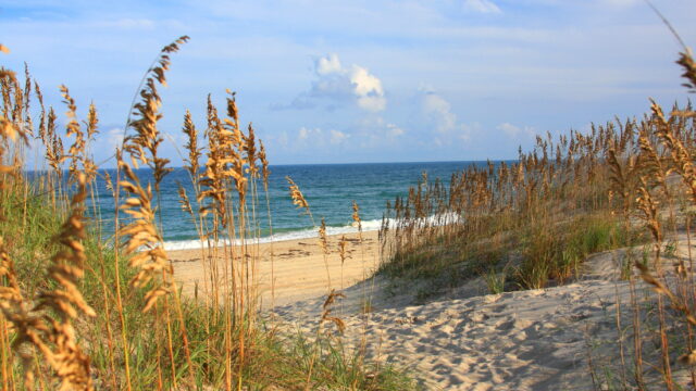 Best Beaches in North Carolina for Families, Backed by 14,000+ Reviews