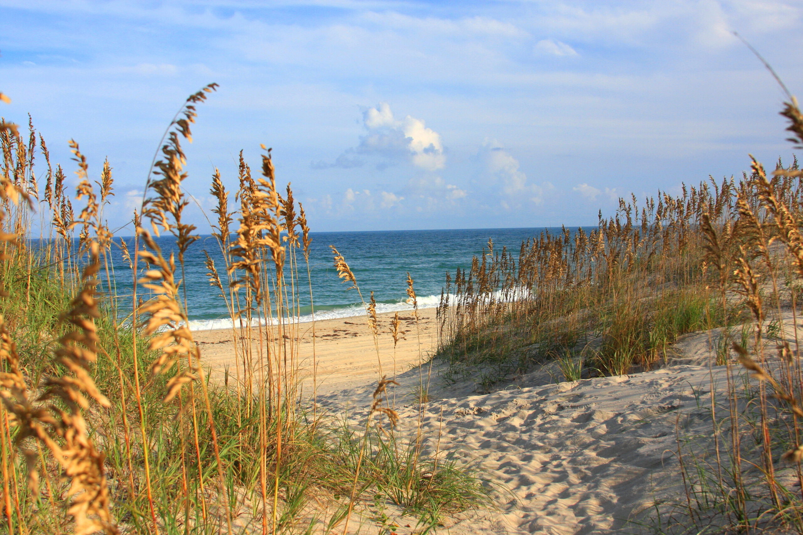 Best Beaches in North Carolina for Families, Backed by 14,000+ Reviews