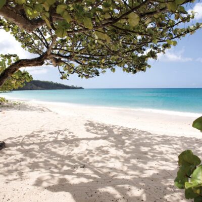 The Best Rum Distilleries in the Caribbean