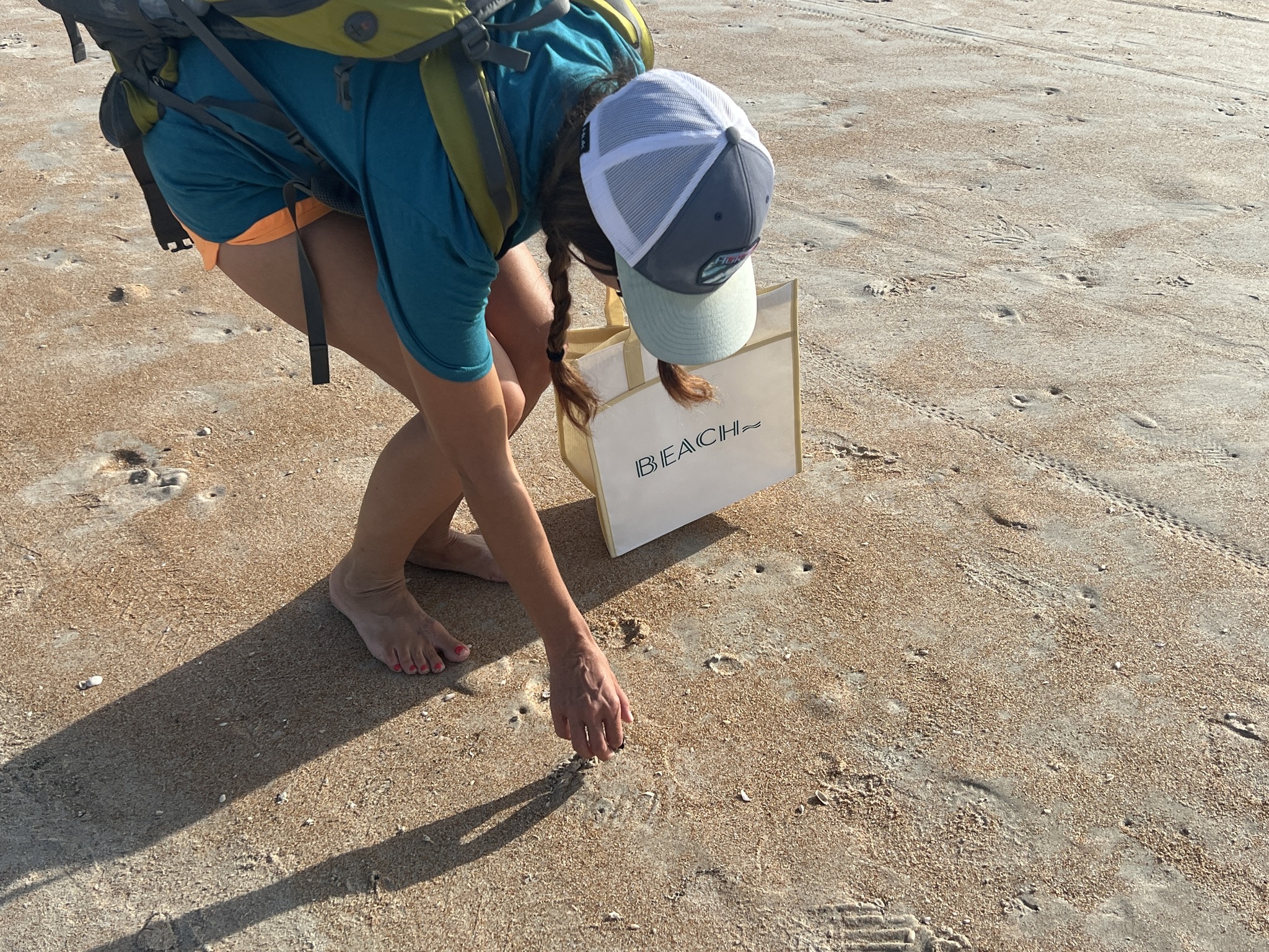 http://Beach%20Cleanup%202025
